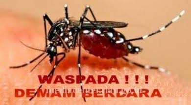 Diskes Riau: Sebanyak 1.743 Warga Riau Terkena Demam Berdarah, 15 Orang Meninggal Dunia