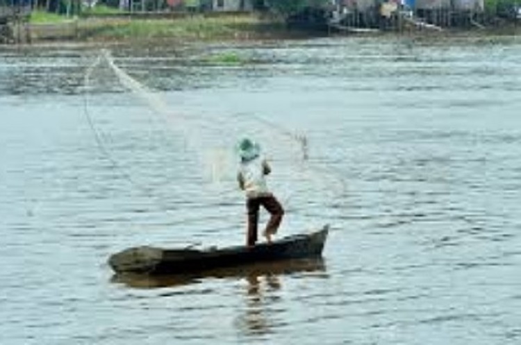 Nelayan Okura Keluhkan Limbah PLTU Tenayan, Yong Norman: Ikan Hilang, Kayu Bombangpun Mati