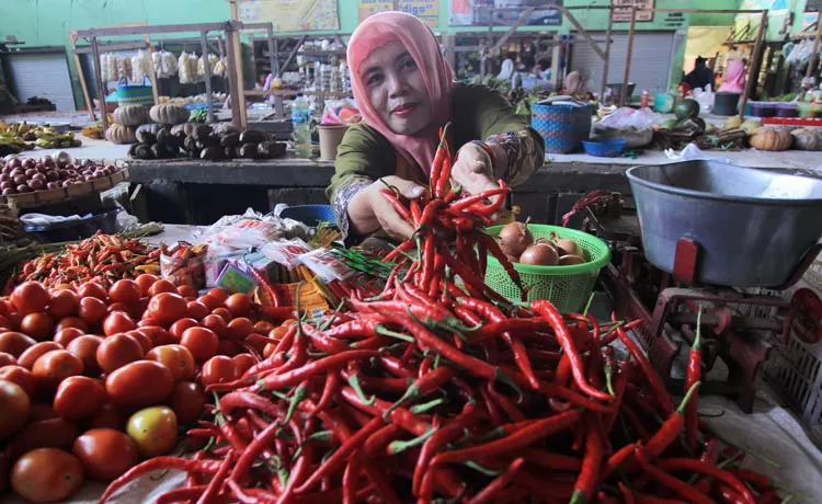 Harga Cabai Sangat 