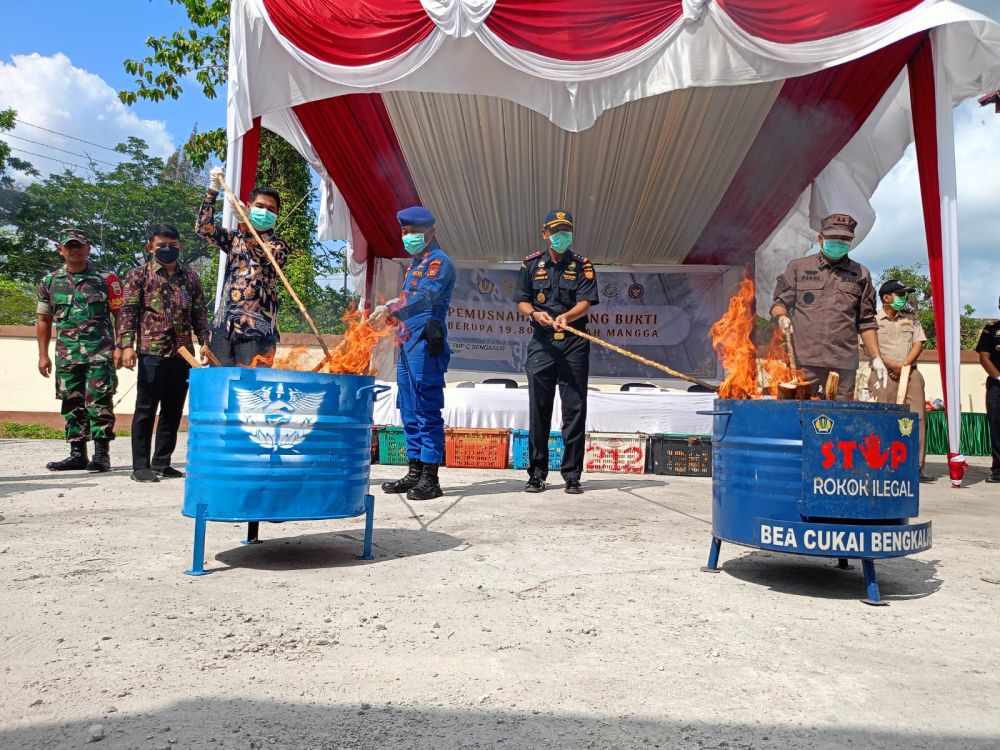 Rugikan Negara Rp 130 Juta Lebih, Bea Cukai Musnahkan 19.800 Kg Buah Mangga Asal Malaysia