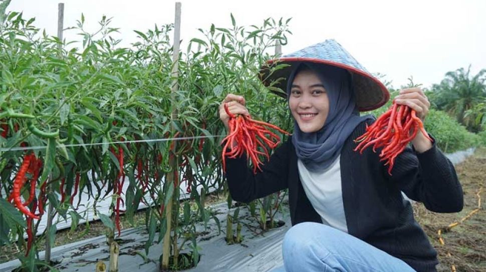 Secercah Harapan Ditengah 
