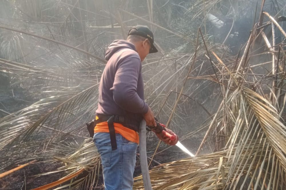 Karhutla di Meranti Semakin Meluas, Tim Gabungan Berjibaku Padamkan Api