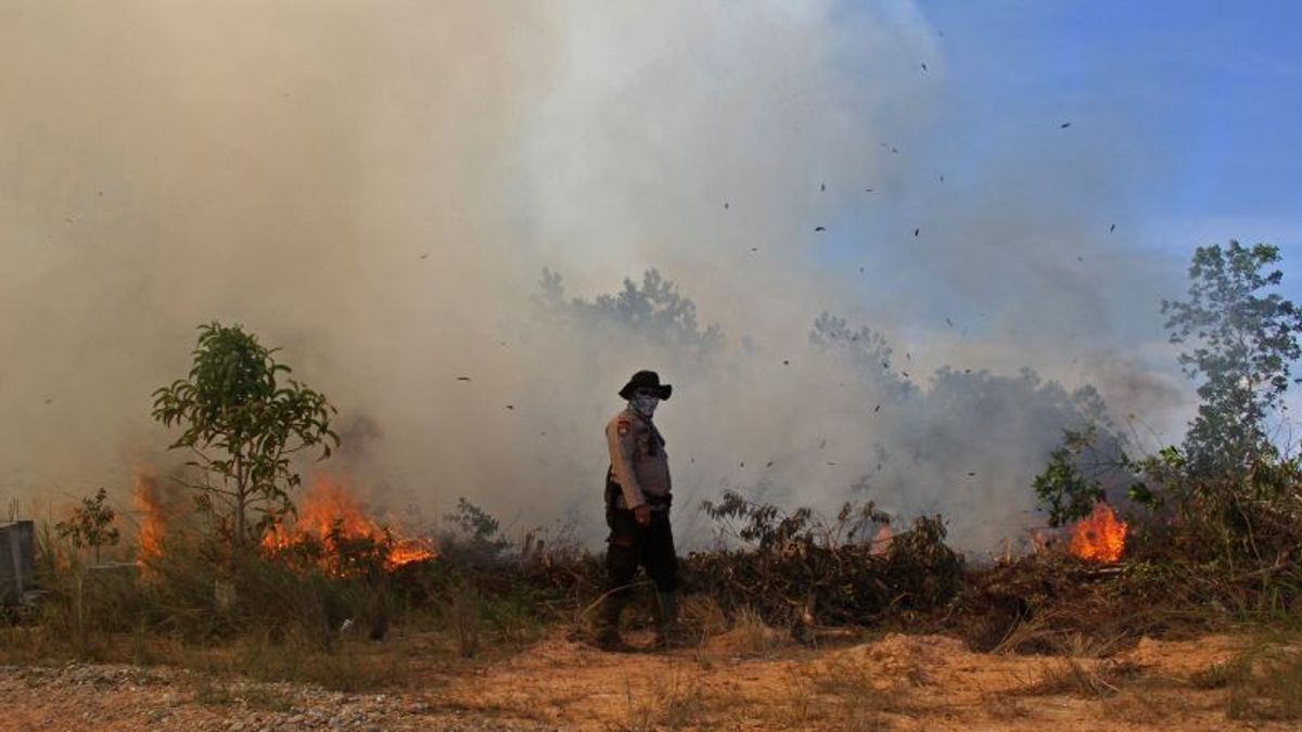 Memasuki Musim Kemarau, Kota Dumai dan Bengkalis Sudah Tetapkan Status Siaga Darurat Karhutla