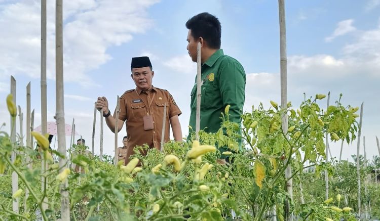 Pastikan Sembako Pasca Bencana di Sumbar, Kadis DKP Pekanbaru: Sudah Kita Temui Petani di Taram Payakumbuh