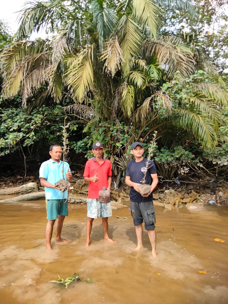 Selamatkan Sungai Siak, FPPMM, LLMB, Nelayan serta Masyarakat Mulai Tanam Pohon Penghijauan di Okura