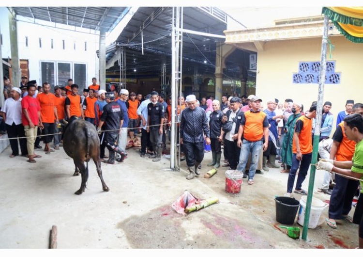Pj Bupati Inhil Sembelih 2 Ekor Sapi Kurban di Masjid Raudatul Jannah