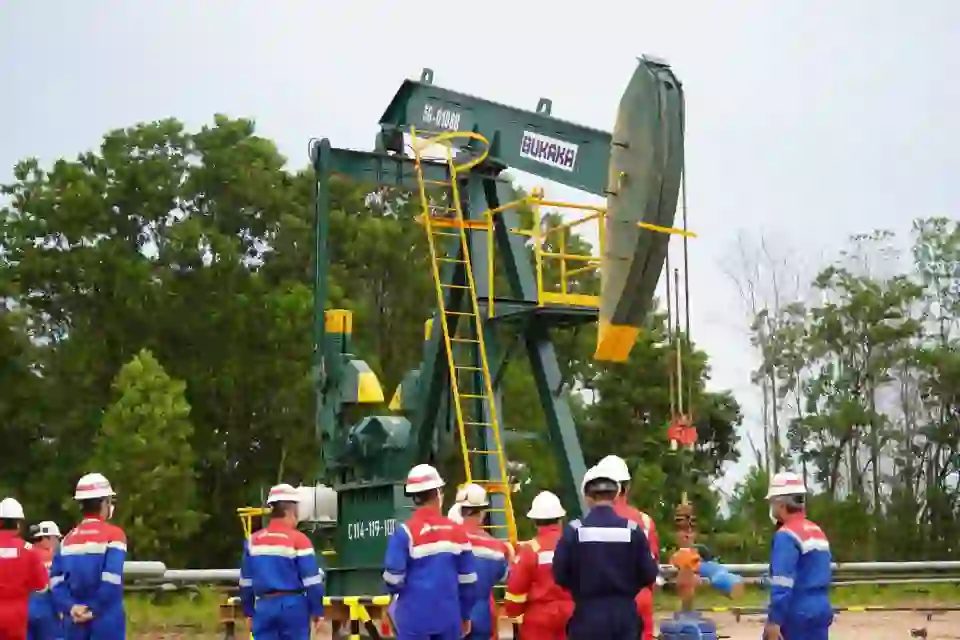 SKK Migas Agresif Lakukan Pengeboran untuk Tekan Penurunan Produksi Minyak