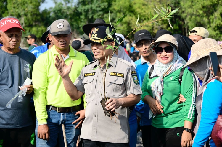 Tanam 5.000 Pohon Api-api, Cara 500 Guru Rayakan Hari Jadi Bengkalis ke-512