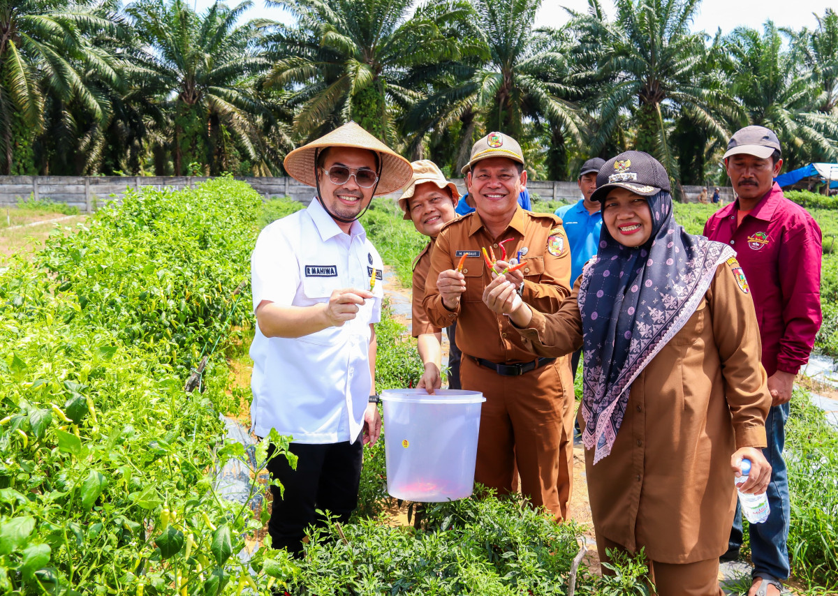 Persiapan Program Makan Siang Gratis, Pj Wali Kota Pekanbaru Cek Budidaya Telur, Ikan, dan Sayur