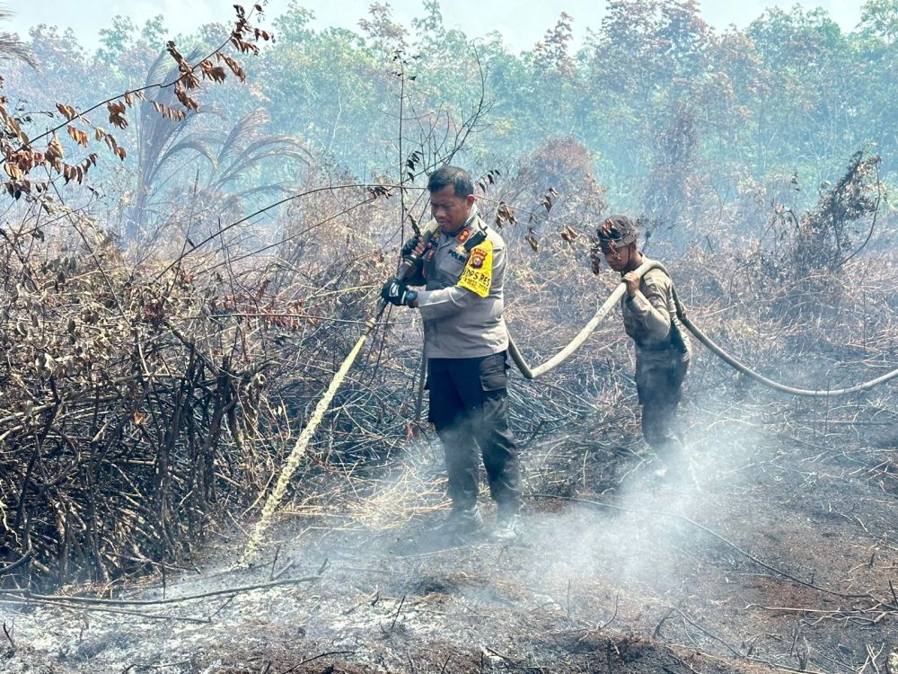 9 Daerah di Riau Sudah Berstatus Darurat Karhutla