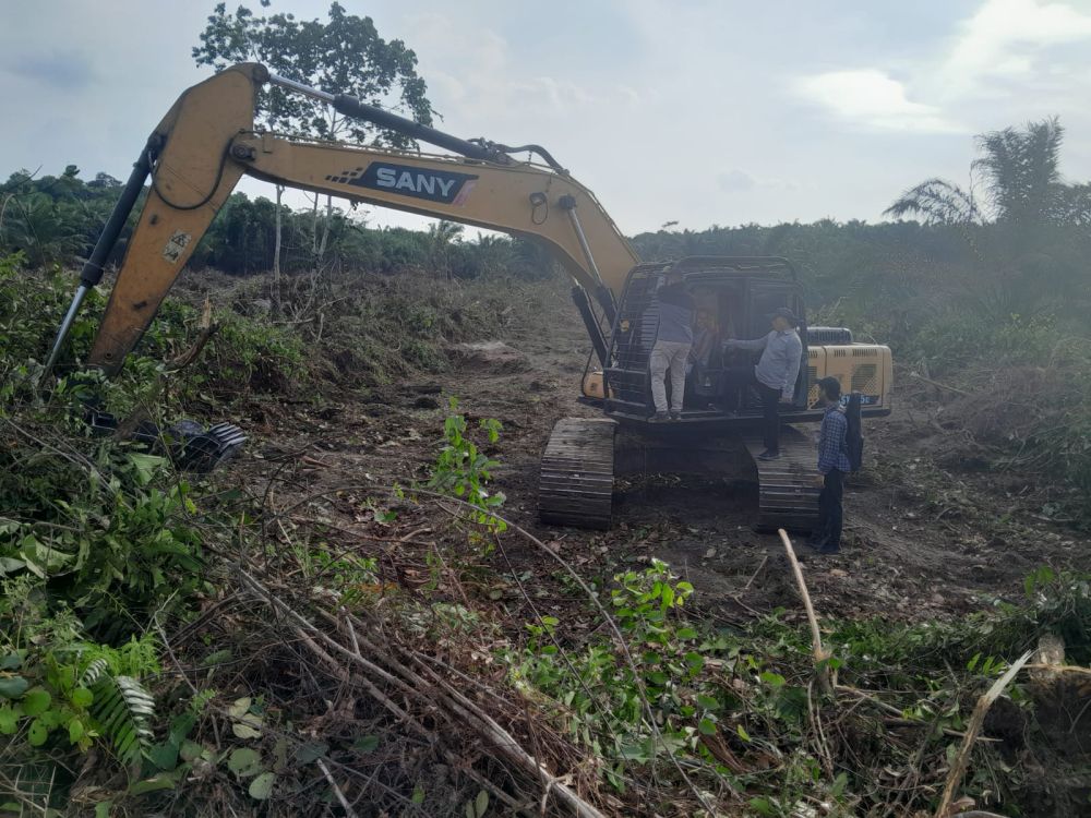 Ditreskrimsus Polda Riau Tangkap 2 Orang Perambah Hutan Lindung Bukit Rimbang Baling Kampar Kiri
