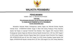 Hingga Selasa Sore, Sudah 284 Pelamar yang Mendaftar CPNS Pemko Pekanbaru