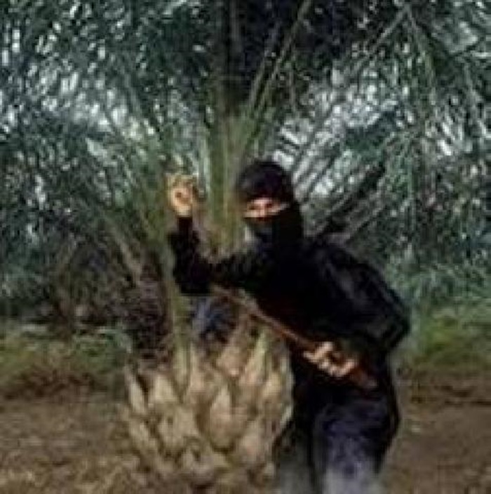 Miris, Pencurian Buah Sawit di Jalan Palembang dan Seroja Masih Marak
