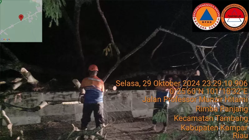 Musibah Angin Kencang Melanda Kampar, Sejumlah Pohon Tumbang Tutupi Jalan Bangkinang-Pekanbaru