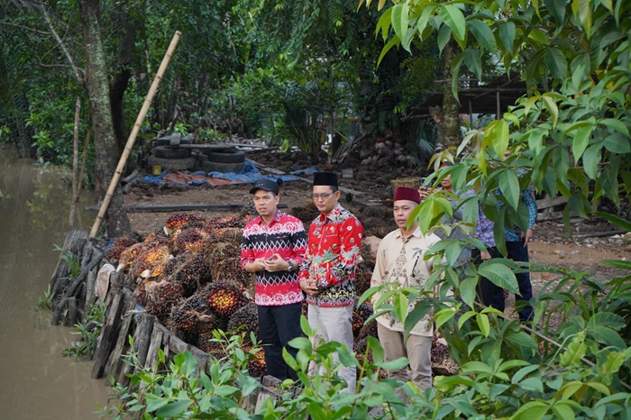 Jembatan Provinsi di Kotobaru Inhil Memprihatinkan, Hanya Bertiang Batang Kelapa Padahal Dilewati Mobil Besar