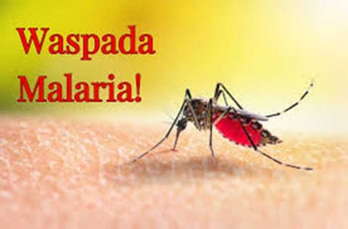 Atasi Malaria di Inhil dan Rohil, Kemenkes Kirim Ribuan Dosis Obat DHP