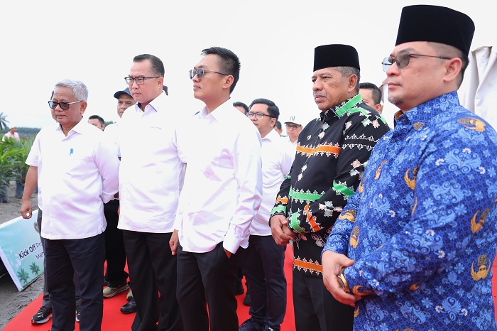 Bupati Alfedri Dukung TAMPAN, Tumpang Sari Padi di Lahan Peremajaan Sawit Rakyat