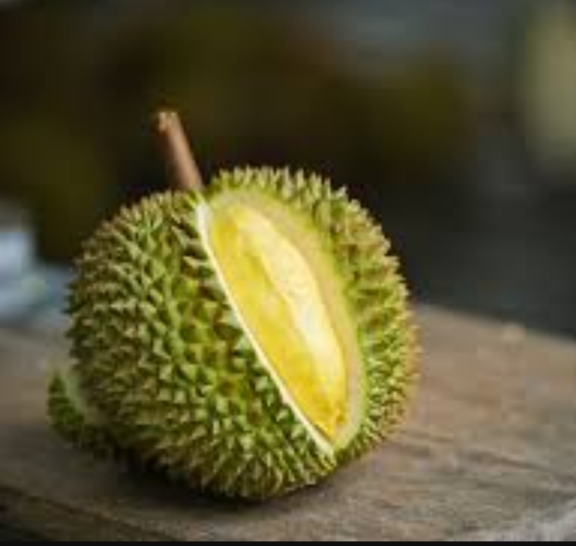 Penggila Raja Buah Merapat! Ini Jenis Durian Asli Kampar yang Kini Lagi Musim, Ada Tembaga dan Sembilan Uang