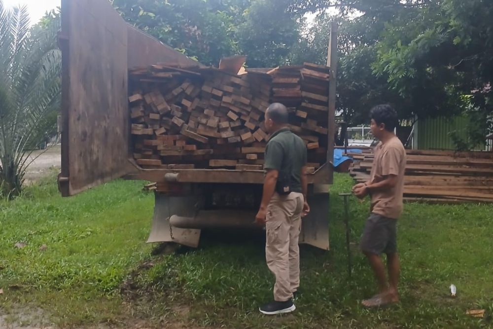 Patroli Polhut di Taman Nasional Bukit Tigapuluh Berhasil Tangkap 2 Orang Pelaku Ilegal Logging